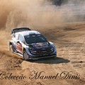 Rally de Portugal 2018  (187).JPG